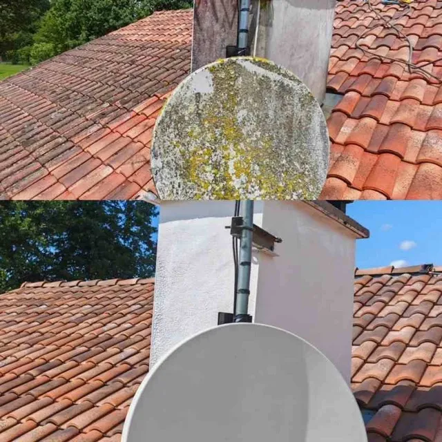 Application d'hydrofuge d'origine naturelle sur toiture luzienne